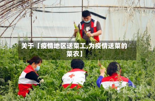 关于【疫情地区送菜工,为疫情送菜的菜农】