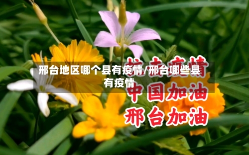 邢台地区哪个县有疫情/邢台哪些县有疫情