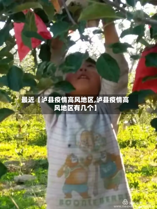 最近【泸县疫情高风地区,泸县疫情高风地区有几个】