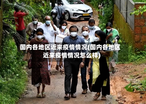 国内各地区近来疫情情况(国内各地区近来疫情情况怎么样)